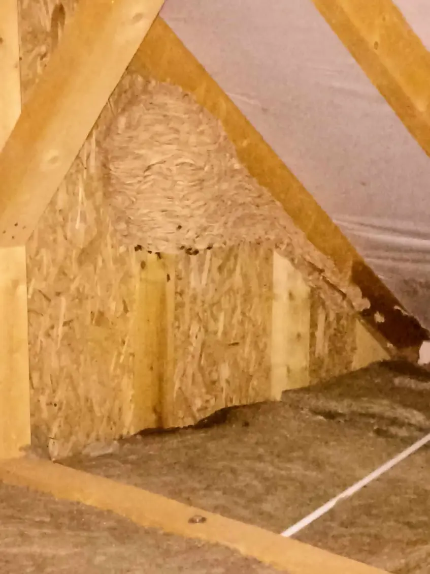  A-LECO MANAGEMENT Kft.