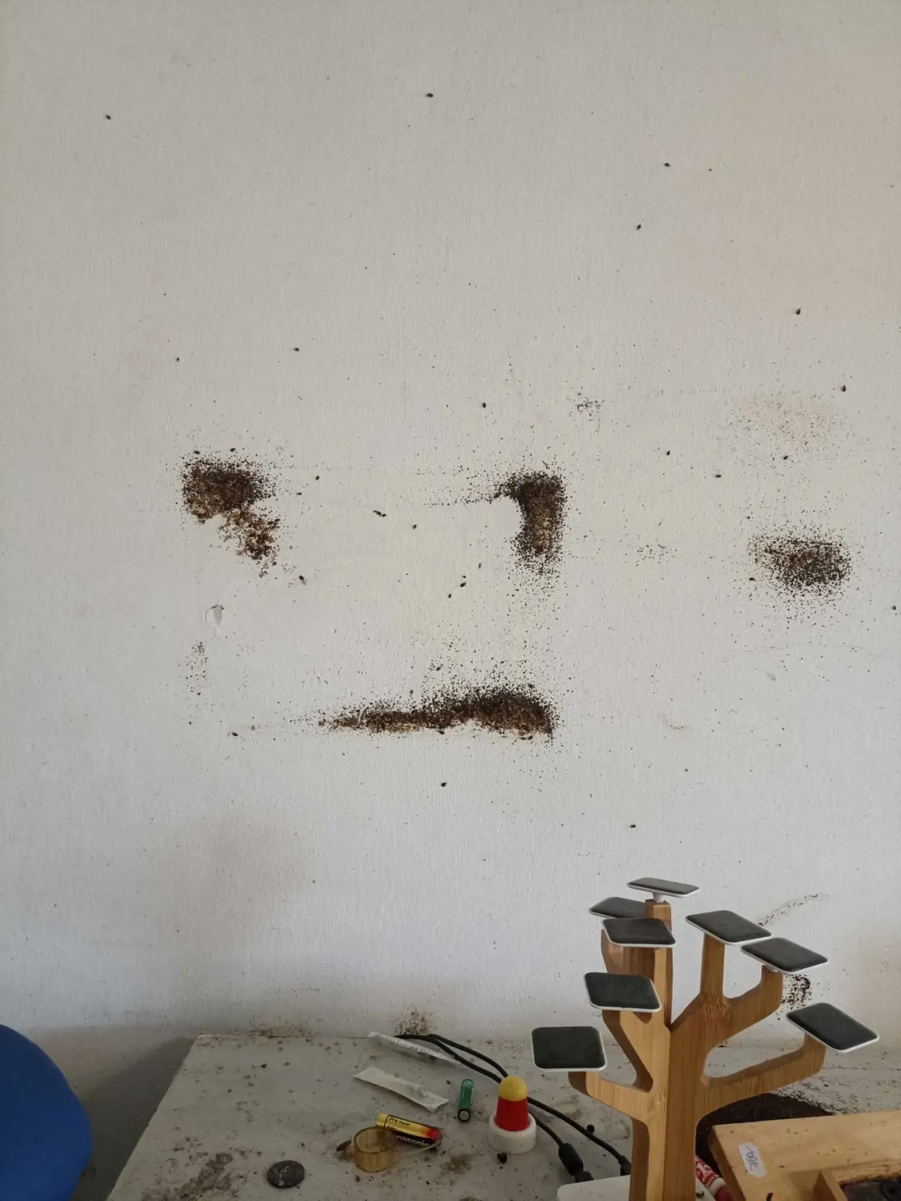  A-LECO MANAGEMENT Kft.